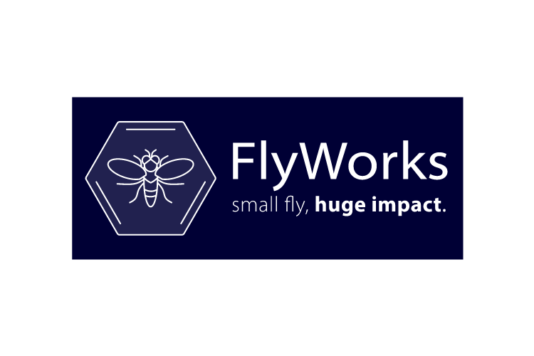 FlyWorks